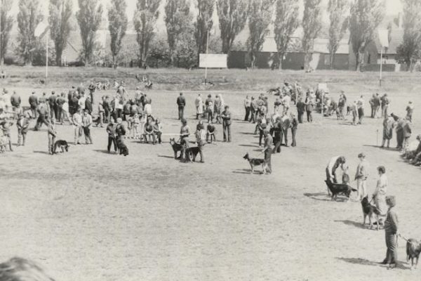 c437d003-8400-443f-bf29-2cf725aacf69