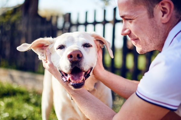 happy-dog-and-his-owner-GA8QN4Z.jpg happy-dog-and-his-owner-GA8QN4Z.jpg
